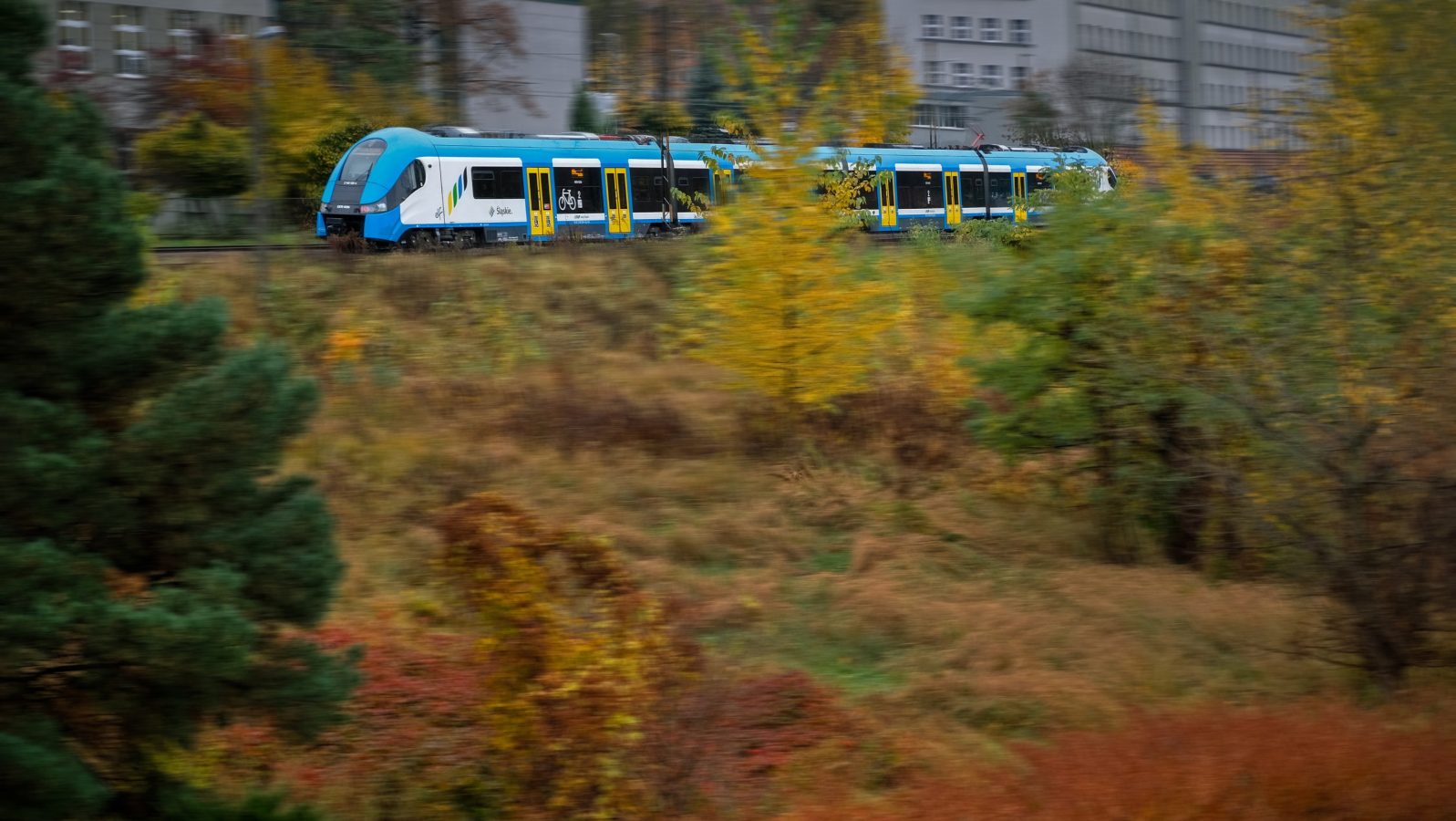 Pociągiem Kolei Śląskich na grzybobranie